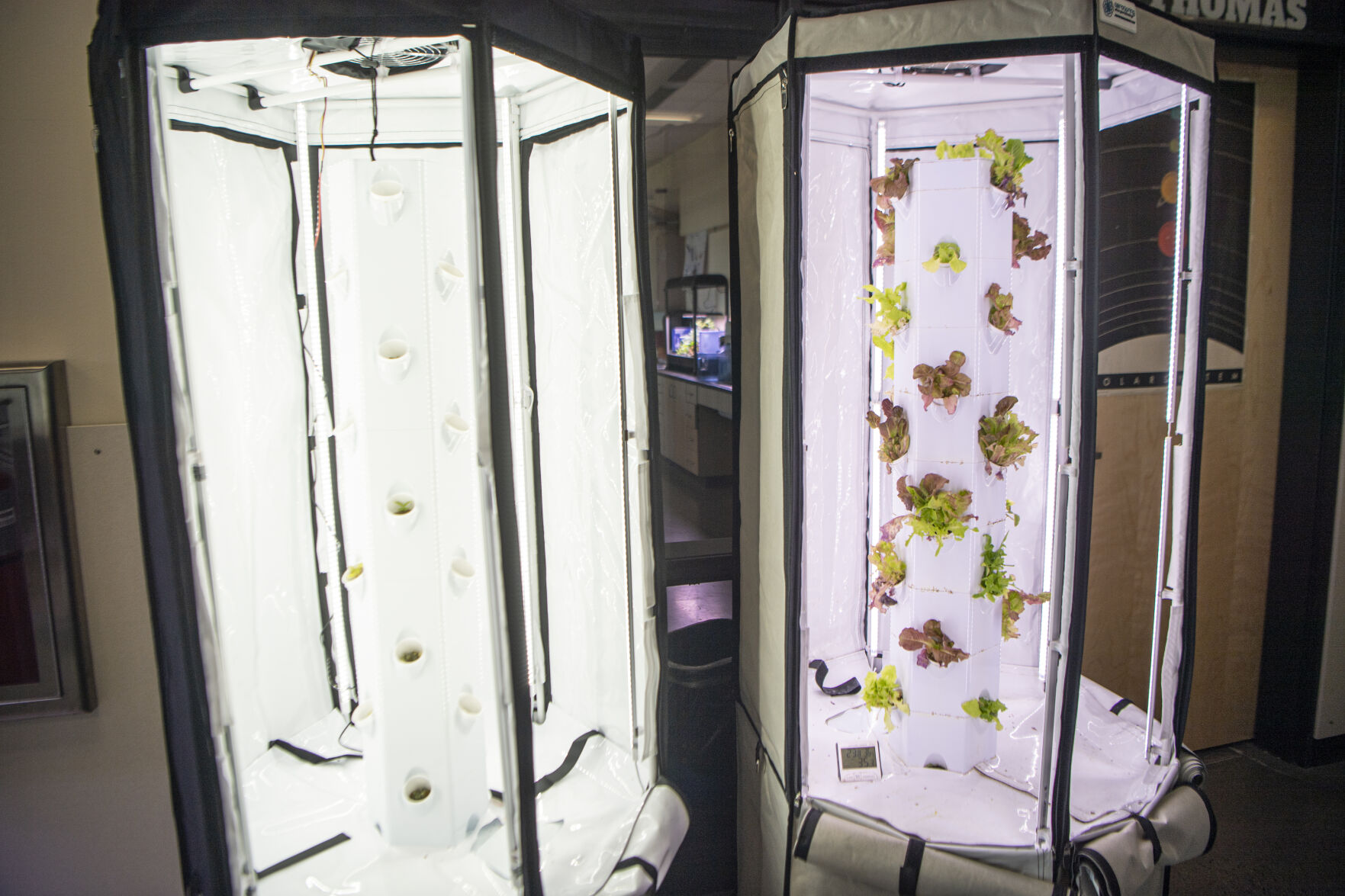 Students grow root vegetables using hydroponics at Ben Steele Middle School